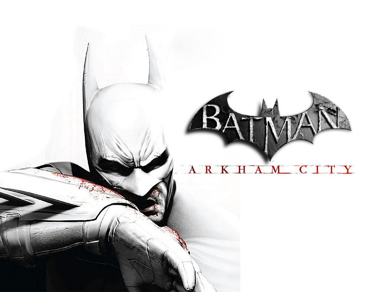 batman arkham city crack only